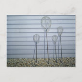 Shrimpelnetten Briefkaart (Voorkant)