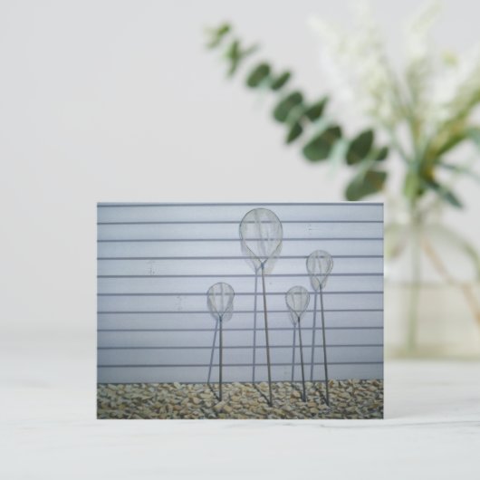 Shrimpelnetten Briefkaart (Staand voorkant)