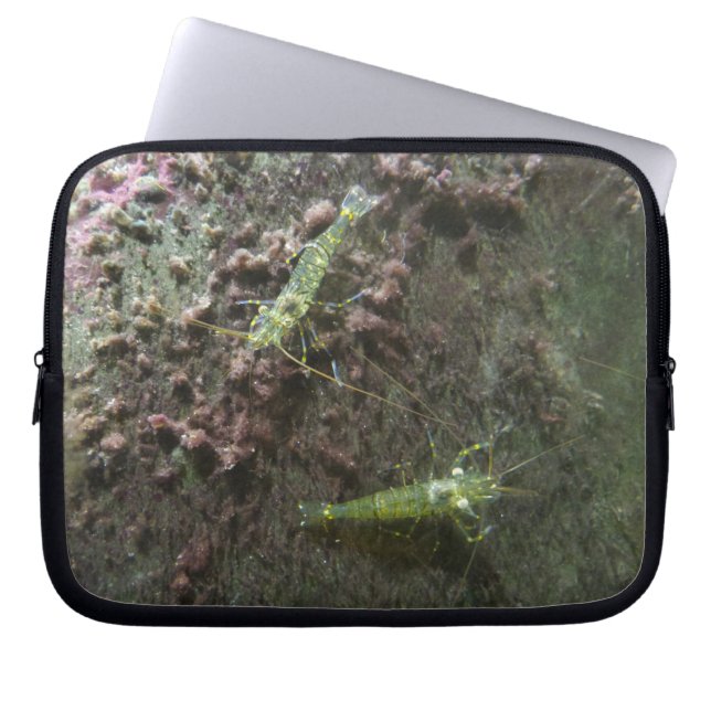 Shrimps neopreen laptophoes van 10 inch laptop sleeve (Voorkant)