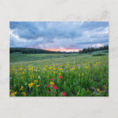 Shrine Pass Road, Red Cliff, Verenigde Staten Briefkaart (Voorkant)