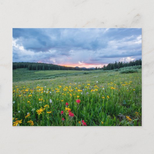 Shrine Pass Road, Red Cliff, Verenigde Staten Briefkaart (Voorkant)