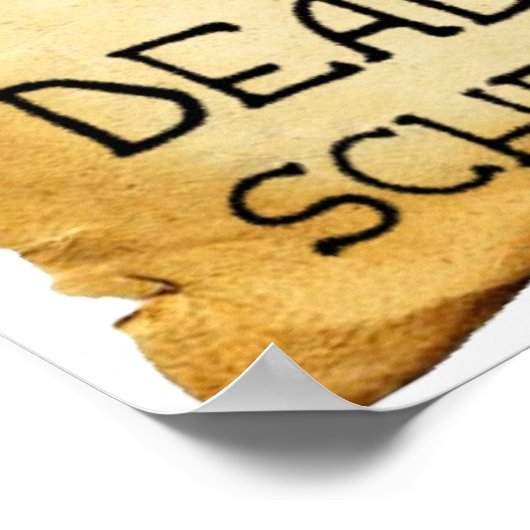 Shrodinger's Cat Funny Poster (Hoek)