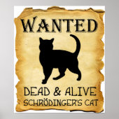 Shrodinger's Cat Funny Poster (Voorkant)