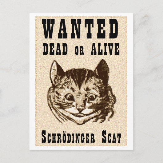 Shrodinger's cat gezocht poster briefkaart (Voorkant)