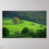 Shropshire Hills Poster (Voorkant)