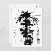 Shroud of Turin Briefkaart (Voorkant / Achterkant)