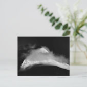 Shrouded Baird Peak Briefkaart (Staand voorkant)