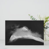 Shrouded Baird Peak Briefpapier (Staand voorkant)