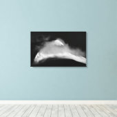 Shrouded Baird Peak Canvas Afdruk (Insitu (Houten vloer))