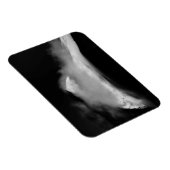 Shrouded Baird Peak Magneet (Rechterzijde)