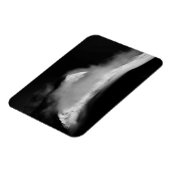 Shrouded Baird Peak Magneet (Linkerzijde)