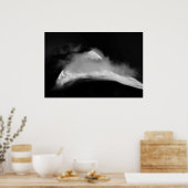 Shrouded Baird Peak Poster (Keuken)