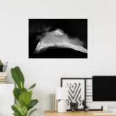 Shrouded Baird Peak Poster (Thuiskantoor)