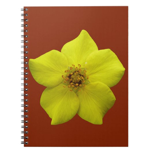Shrubby Cinquefoil #1 Notitieboek (Voorkant)