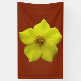 Shrubby Cinquefoil #1 Spandoek