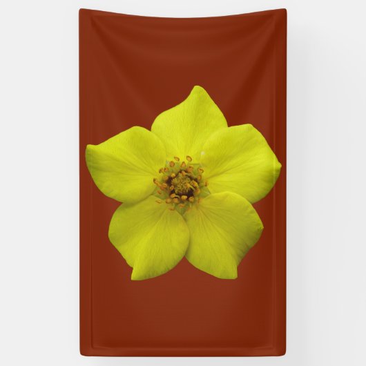 Shrubby Cinquefoil #1 Spandoek (Verticaal)