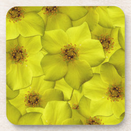 Shrubby Cinquefoil naadloos patroon Bier Onderzetter