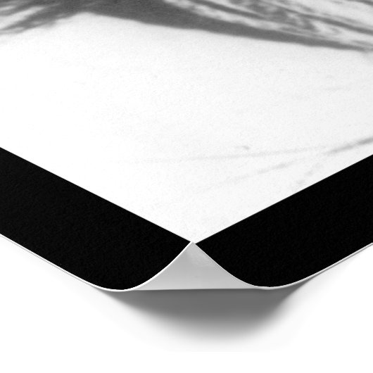 Shrunken Head in Ecuador 1894 Poster (Hoek)