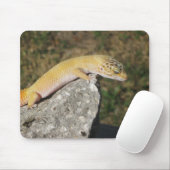 SHTCT Leopard Gecko Muismat (Met muis)