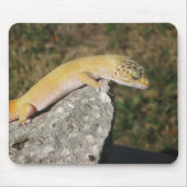 SHTCT Leopard Gecko Muismat (Voorkant)