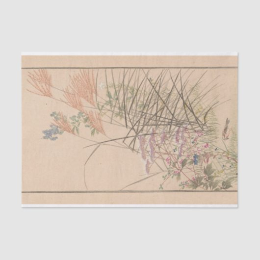 Shū bi Gakan Pl.03 van Nanbara Sakujirō Tissuepapier (Voorkant)