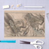 Shū bi gakan, PL.11 van Nanbara Sakujiro Tissuepapier (Craft)