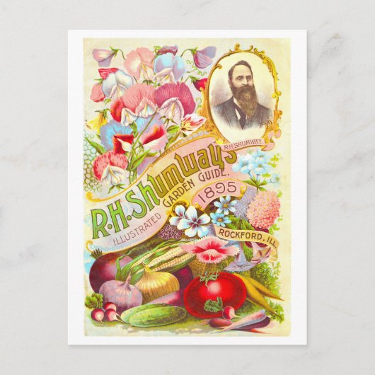  Shumway Garden Guide Hoesje 1895 Briefkaart (Voorkant)
