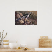 Shuvuuia Print (Keuken)