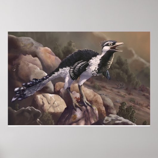 Shuvuuia Print (Voorkant)