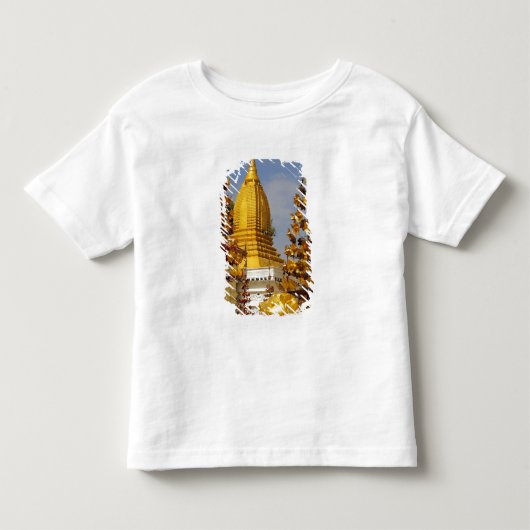 Shwe Zigon Pagodecomplex in Bagan (Pagan), Kinder Shirts (Voorkant)