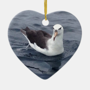 Shy Albatross Keramisch Ornament