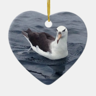 Shy Albatross Keramisch Ornament