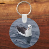 Shy Albatross Sleutelhanger (Voorkant)