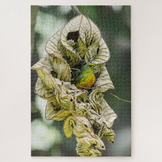 Shy Bird, Olive Euphonia Legpuzzel (Verticaal)