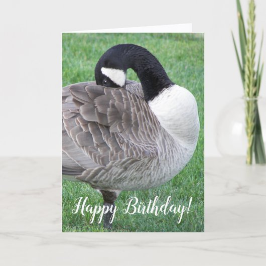 Shy Canada Goose Photo Birthday Kaart (Voorkant)
