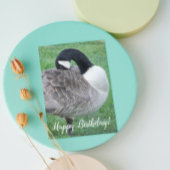 Shy Canada Goose Photo Birthday Kaart
