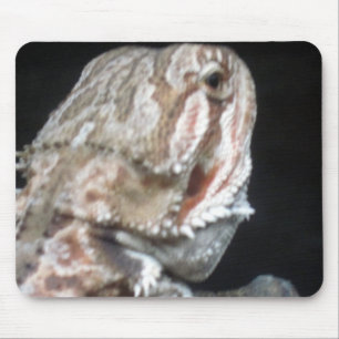 Shy Dragon Muismat