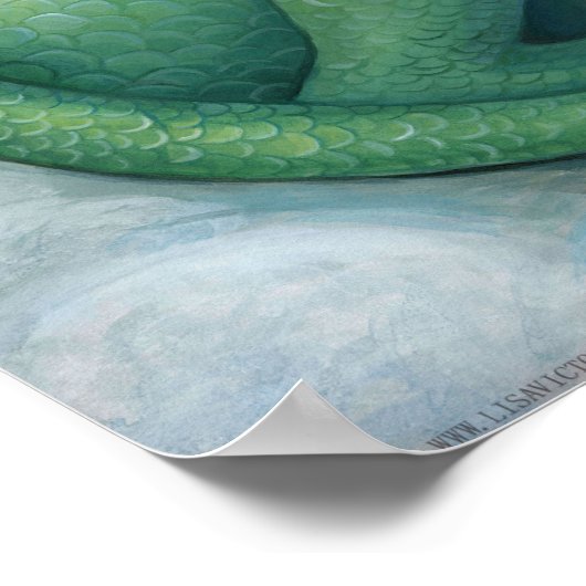 Shy Dragon Poster (Hoek)