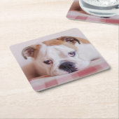 Shy English Bulldog Puppy Kartonnen Onderzetters (Schuin)