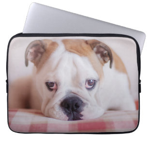 Shy English Bulldog Puppy Laptop Sleeve