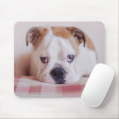 Shy English Bulldog Puppy Muismat (Met muis)