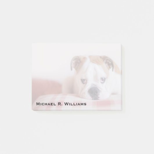 Shy English Bulldog Puppy Post-it® Notes (Voorkant)