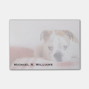 Shy English Bulldog Puppy Post-it® Notes