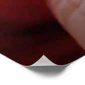 Shy English Bulldog Puppy Poster (Hoek)