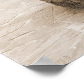 Shy Girl in de Rozen Poster (Hoek)