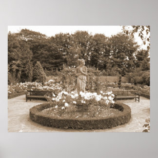 Shy Girl in de Rozen Poster