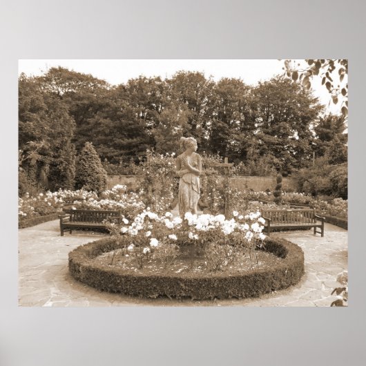 Shy Girl in de Rozen Poster (Voorkant)