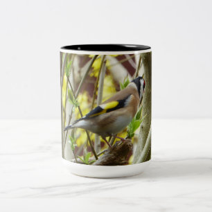 Shy Goldfinch Tweekleurige Koffiemok