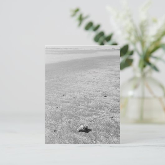 Shy Hermit Crab Briefkaart (Staand voorkant)