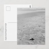 Shy Hermit Crab Briefkaart (Voorkant / Achterkant)